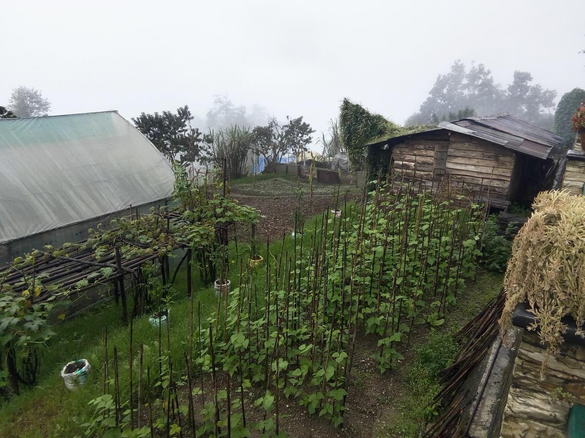 Martam Farmhouse เปลลิง ภายนอก รูปภาพ